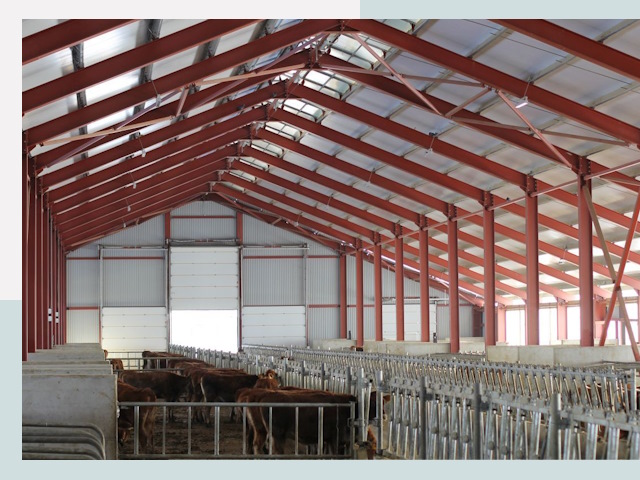 Строительство коровников в Кирове