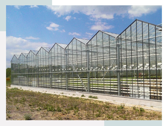 Строительство теплиц в Киров от 610 руб. за м²